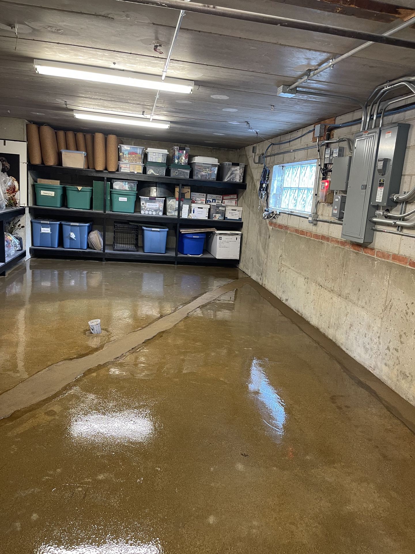 Basement with shiny epoxy floor, storage shelves with bins, and electrical panels on concrete walls.