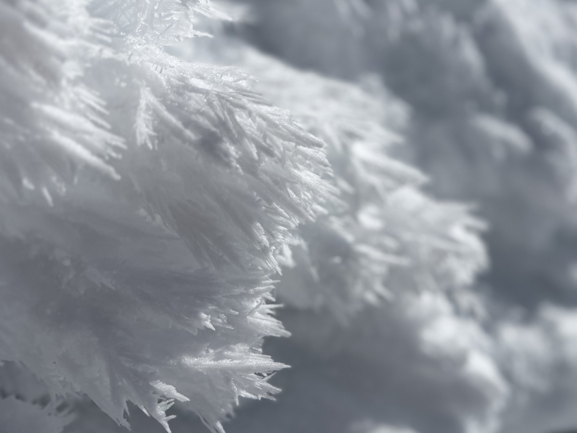 Ice crystals forming on a frozen surface