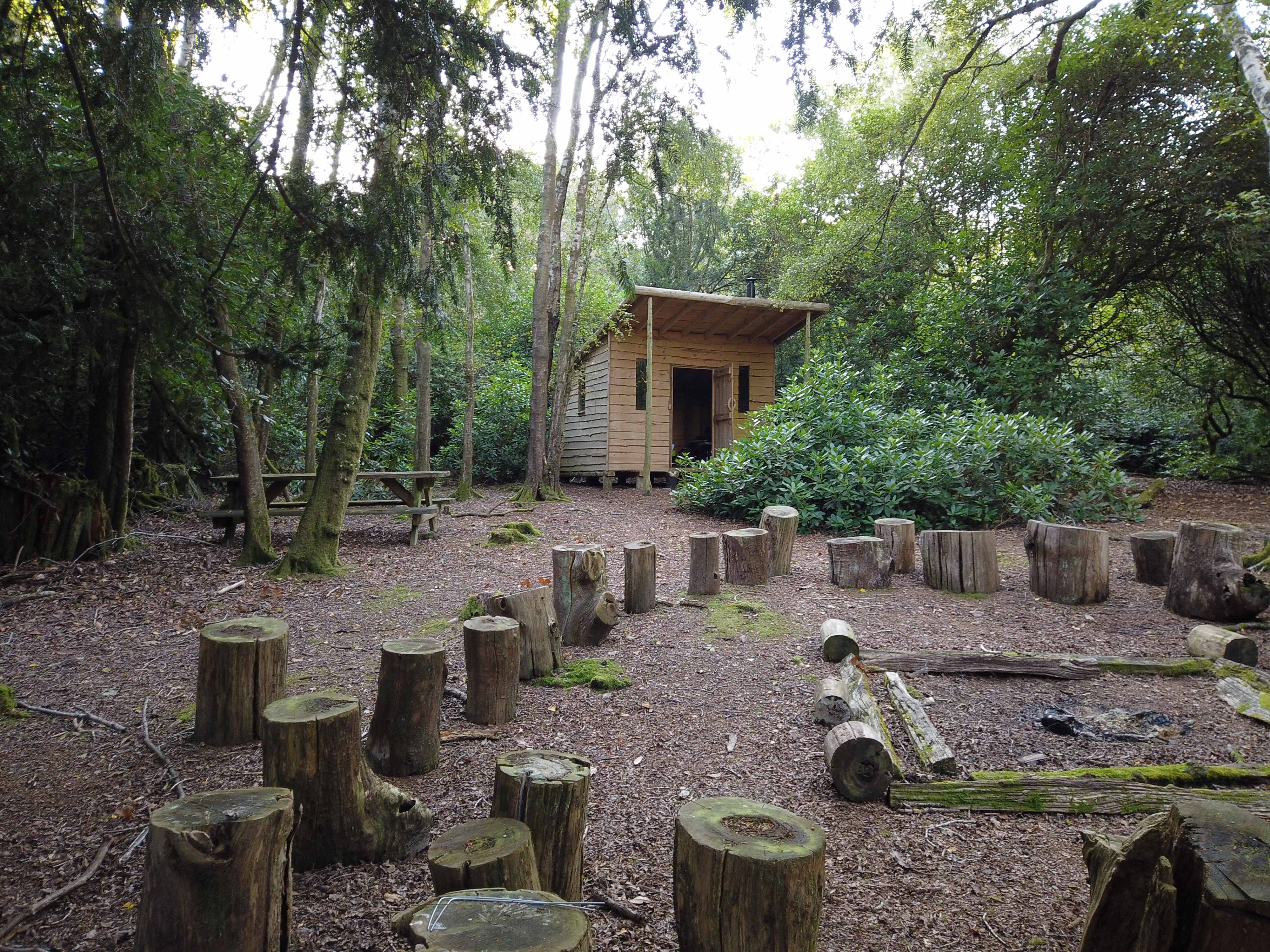 A group gathered in a circle in the woodland at Springwood Farm