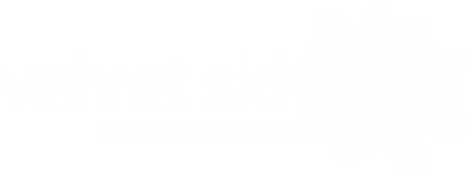 Velvetskin logo