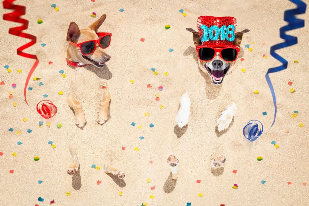 dog-friendly New Year's Eve Dallas