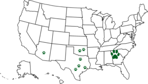 pet waste removal Atlanta