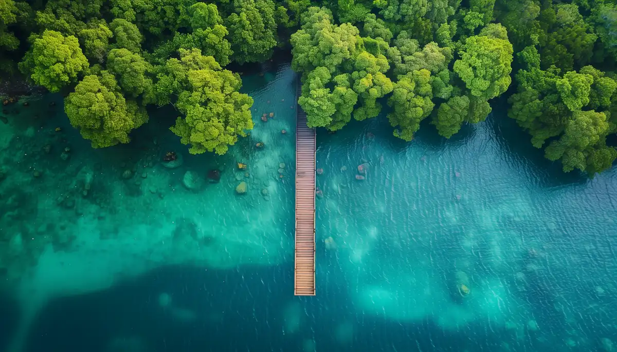 Wooden pier extending from a lush green landscape into clear turquoise water.