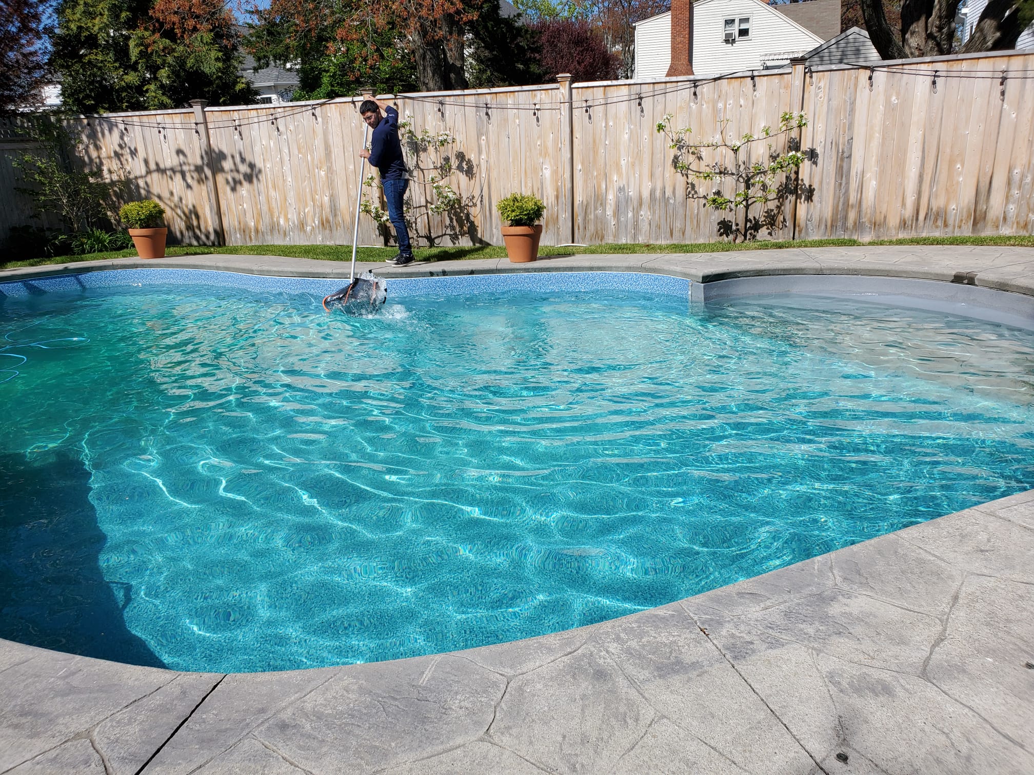 Backyard pool ready to swim, serviced by Blue Cross Pool Care