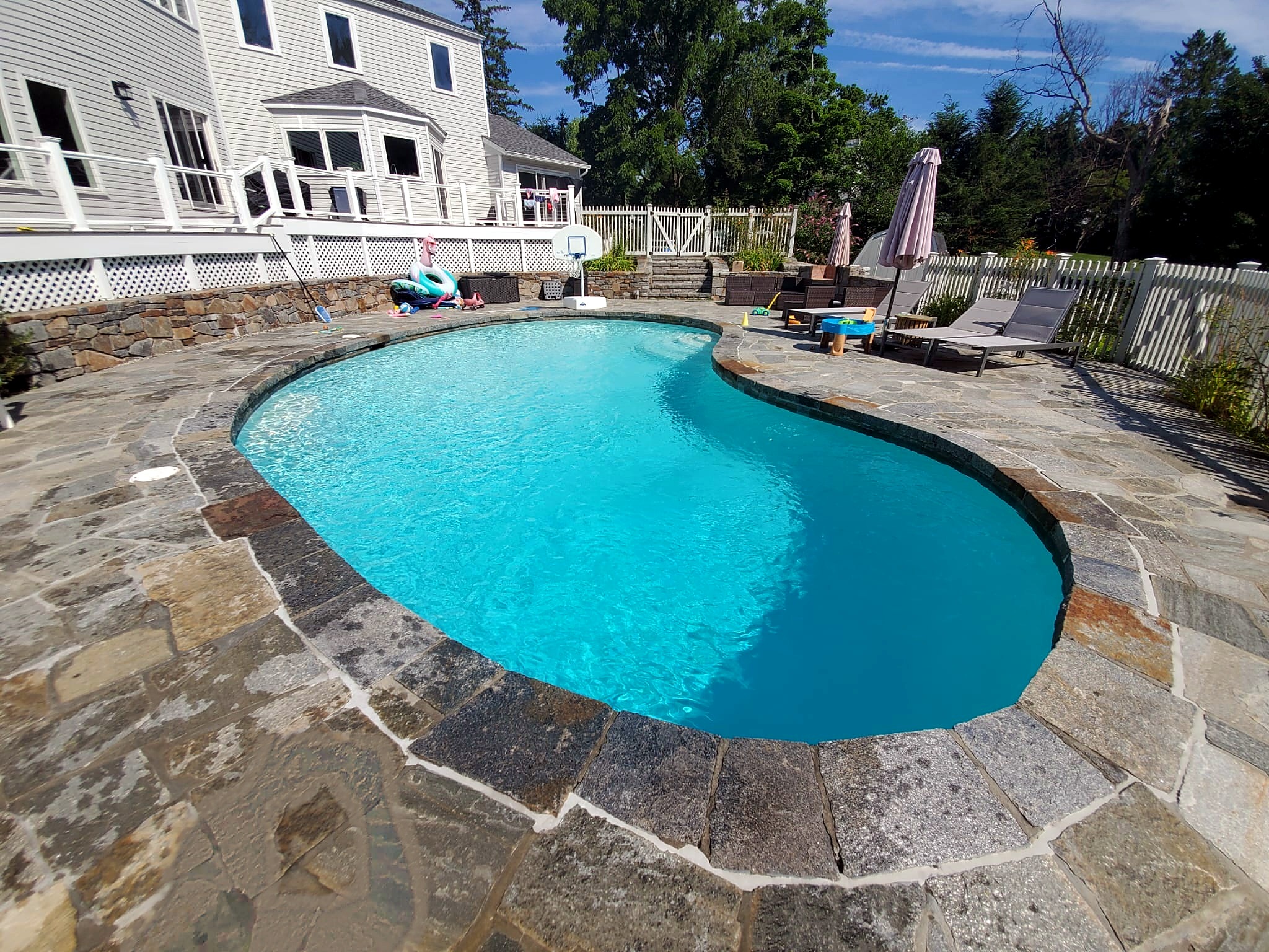 Kidney-shaped pool with stone patio, maintained by Blue Cross Pool Care