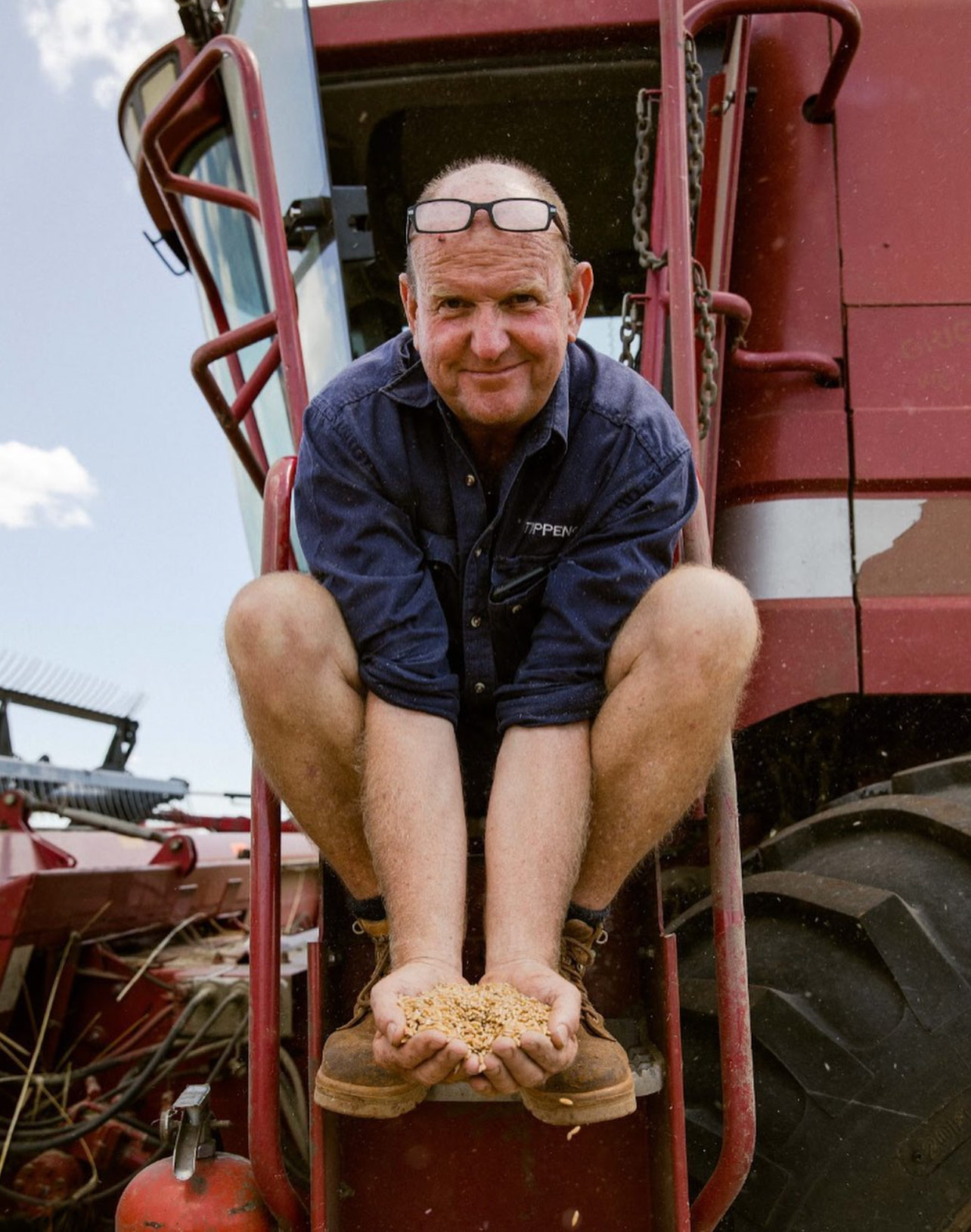 Smiling farmer wearing glasses on his forehead and a blue shirt crouches on tractor steps holding a handful of wheat grains.