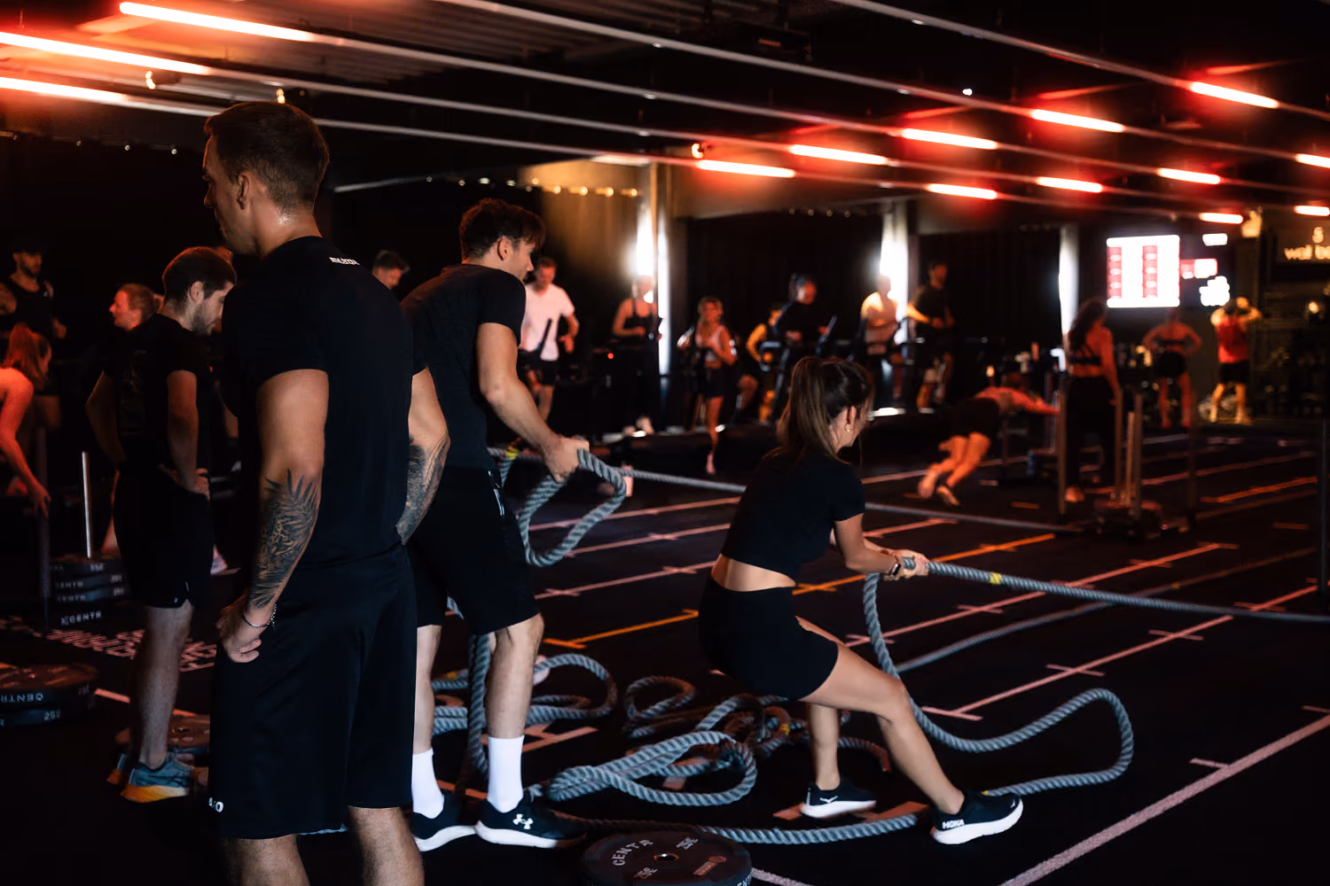 battle ropes class