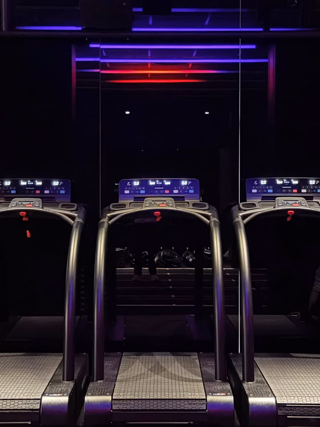 a row of treadmills
