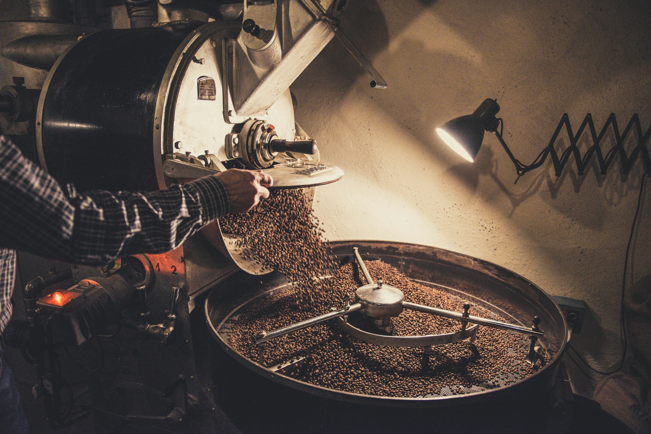 Green coffee beans being poured into a drum roaster