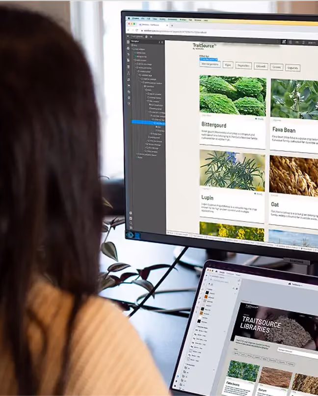 Person with long dark hair sitting in front of two screens displaying TraitSource software showing plant trait libraries including images and descriptions of Bittergourd, Fava Bean, Lupin, and Oat.