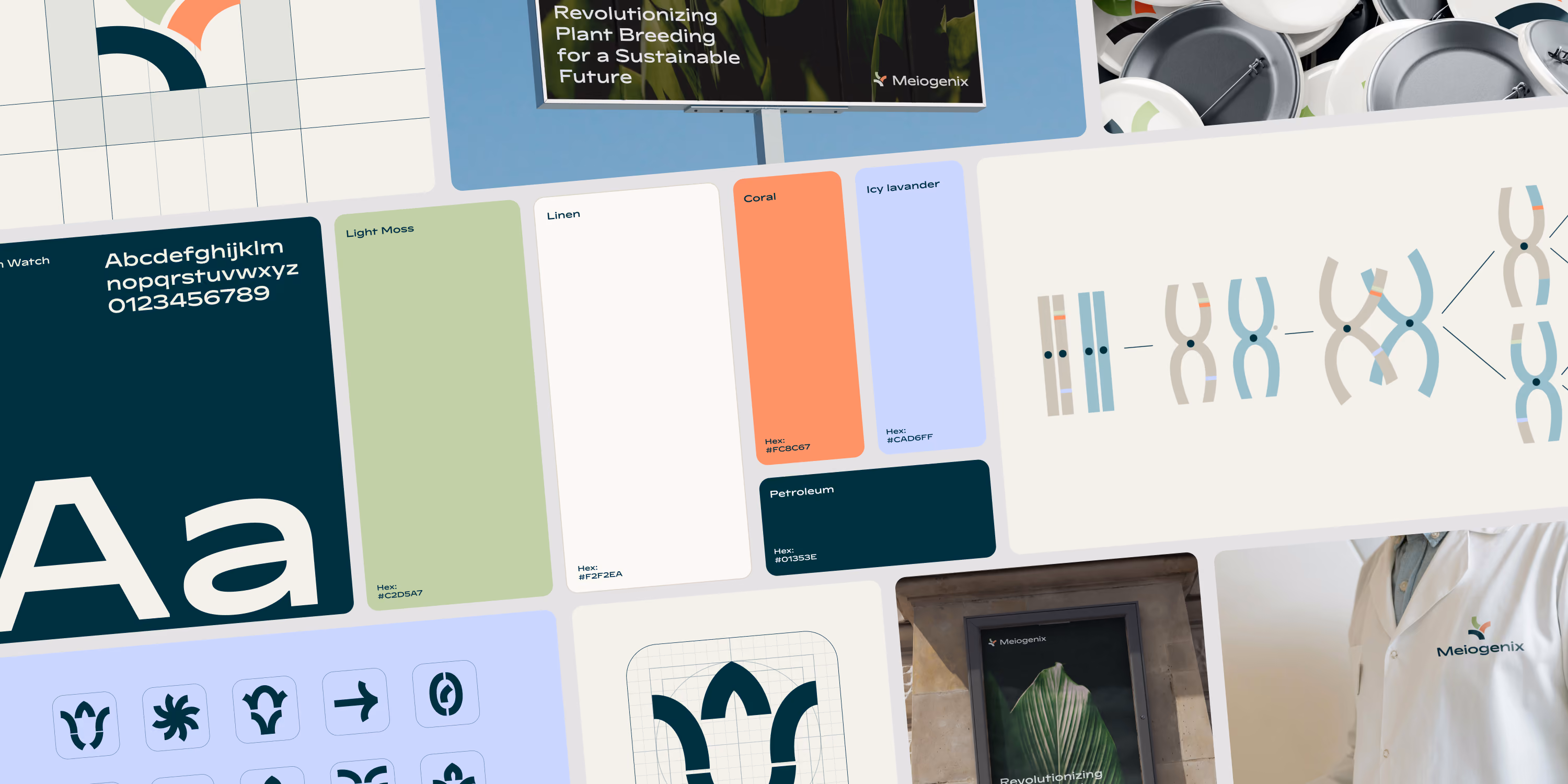 A branding identity board featuring colors, typography, and logo for Meiogenix, including color swatches Light Moss, Linen, Coral, Ivy Lavender, and Petroleum, with hex codes and illustrations of the logo design resembling stylized plant or DNA strand.