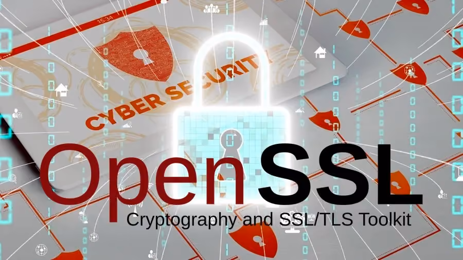 Critical and Time Sensitive OpenSSL Vulnerability - The Race Between Attackers and Defenders