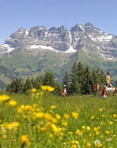 Chalet et bâti rural du Chablais vaudois