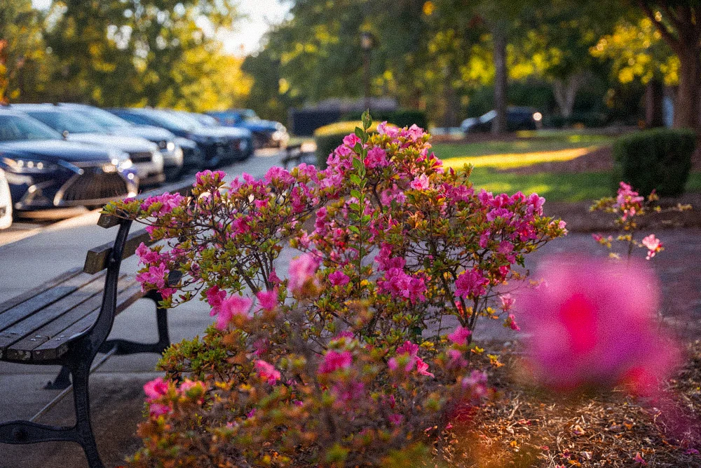 Commercial Photography Raleigh NC