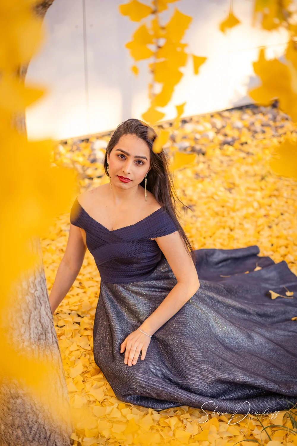 Professional Portrait Photography Raleigh NC