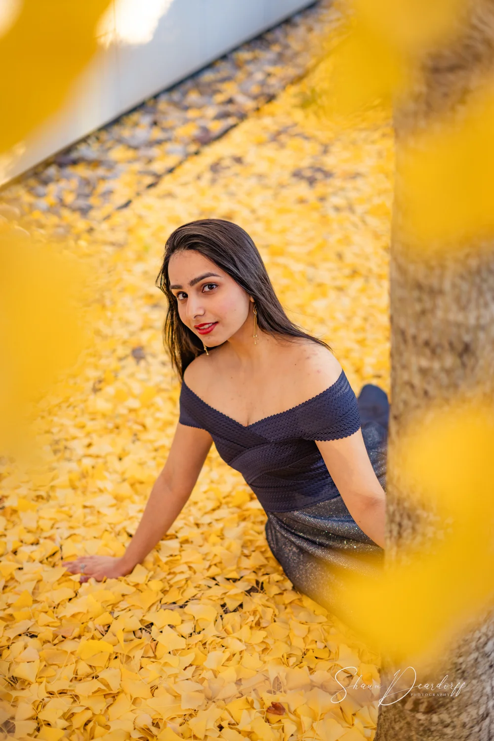 Professional Portrait Photography Raleigh NC