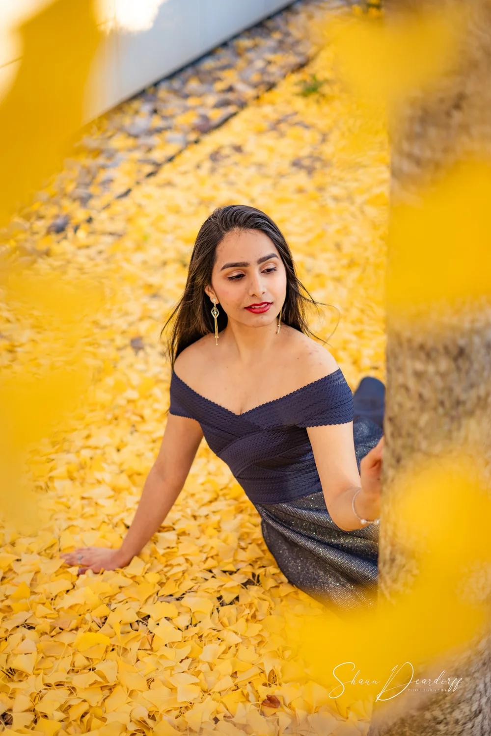 Professional Portrait Photography Raleigh NC