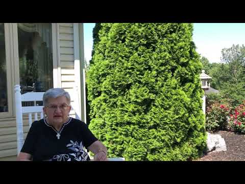 Kay M Bowman Poetry | July