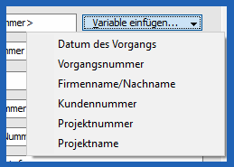 Dropdown-Menü mit der Auswahl 'Variable einfügen' und den Optionen: Datum des Vorgangs, Vorgangsnummer, Firmenname/Nachname, Kundennummer, Projektnummer und Projektname.