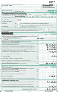 Ausgefülltes deutsches Steuerformular Anlage EÜR 2017 mit Einnahmen-Überschuss-Rechnung, Betriebseinnahmen und Betriebsausgaben, Jahresüberschuss, Steuernachzahlung und Angaben zum Unternehmen.