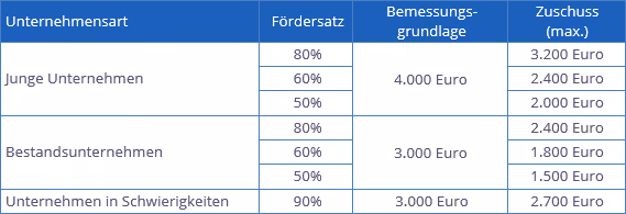 Übersicht: förderfähige Beratungskosten | orgaMAX Bürosoftware