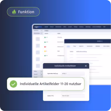 Screenshot einer Benutzeroberfläche mit einem hervorgehobenen Fenster und Text 'Individuelle Artikelfelder 11-20 nutzbar' auf blauem Hintergrund, dazu ein Label 'Funktion' mit Flammensymbol.