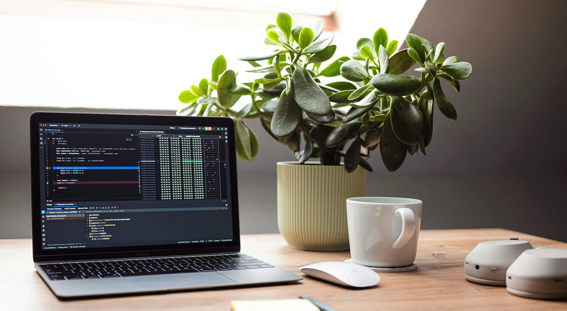 laptop-with-code-plant