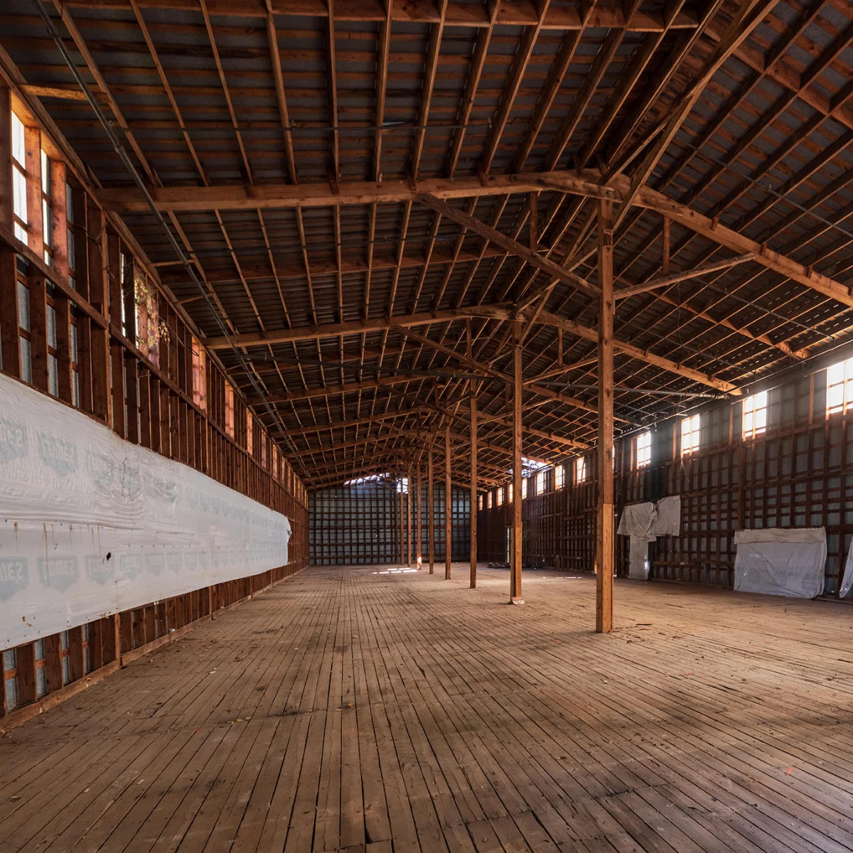 Interior, timber frame and clerestory light (IMG-4)