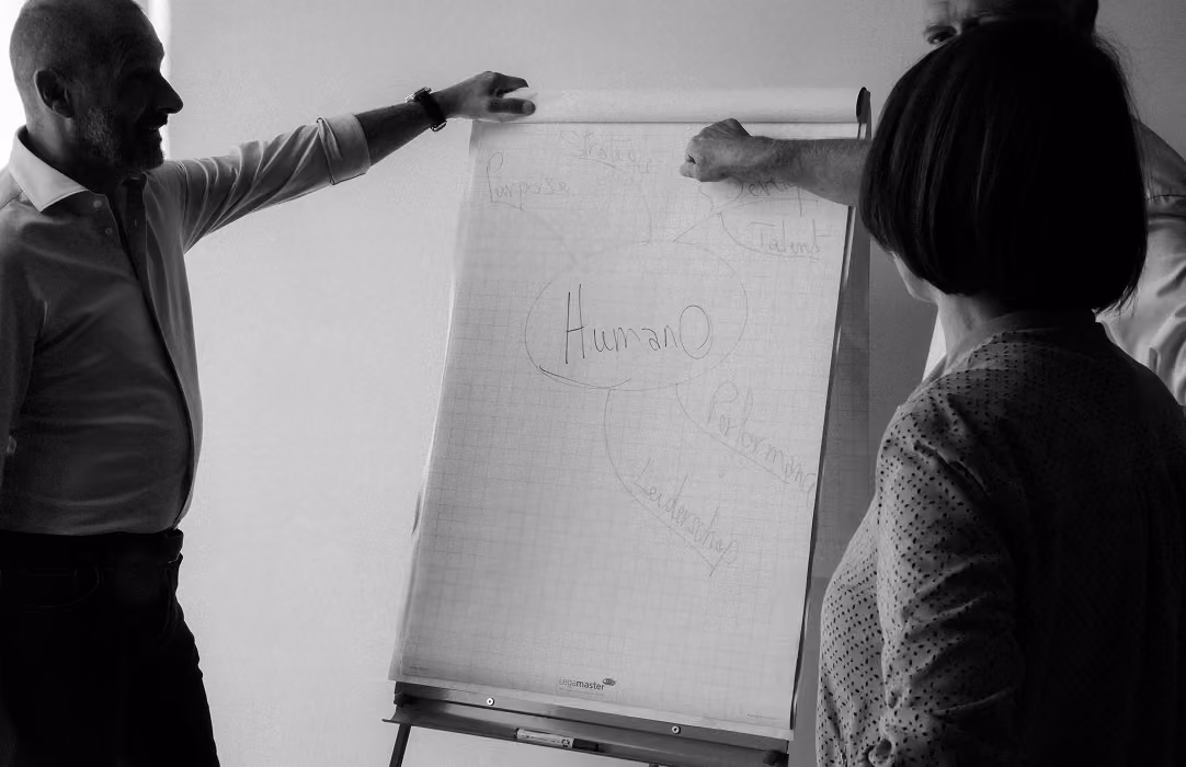 HumanO expertise in HR en organisatie
