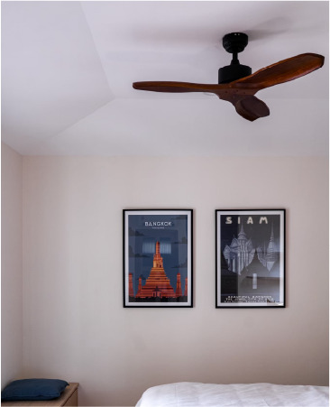 Proejct Gallery Single Image