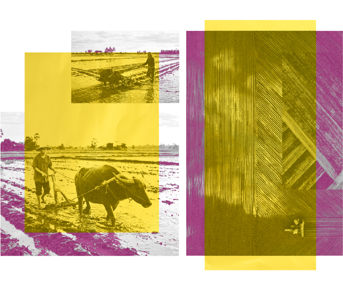 Project Gallery Image