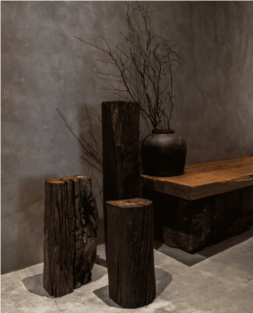 Proejct Gallery Single Image