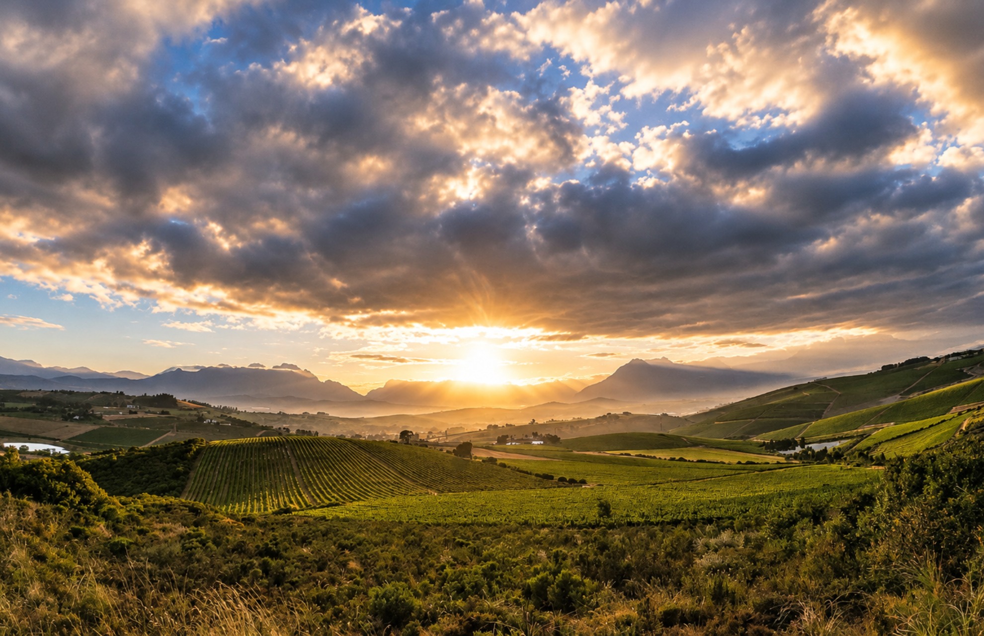 Sunset over a green agricultural valley with rows of crops, rolling hills, scattered trees, and distant mountains under a partly cloudy sky.