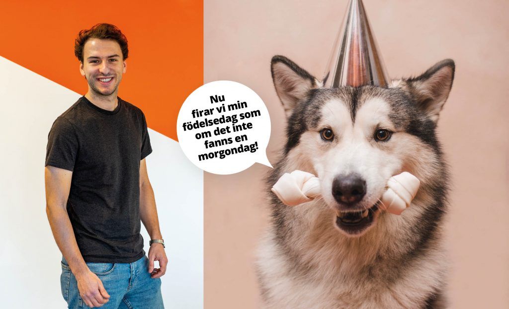 Man och hund med partyhattar i en kampanjbild