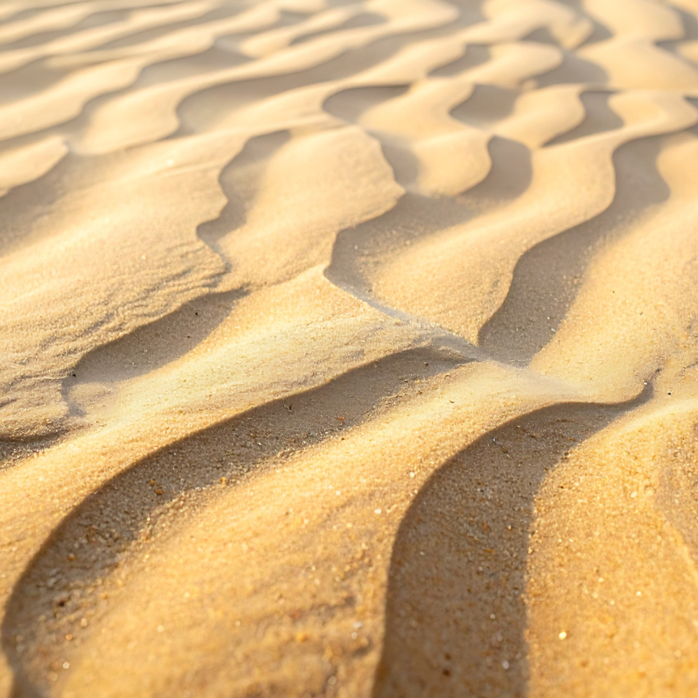 Coastal sand dunes at Alexandria dunefield in Addo Elephant National Park
