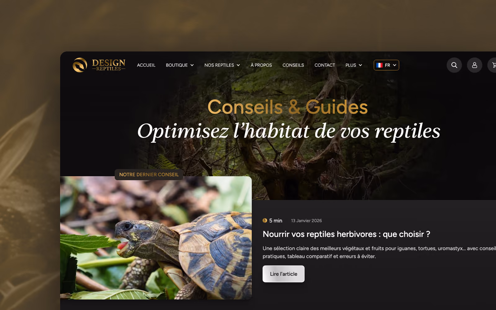 Design Reptiles, galerie 3