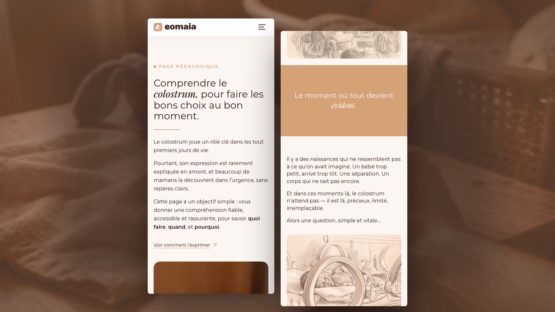 Eomaïa, pages en mobile