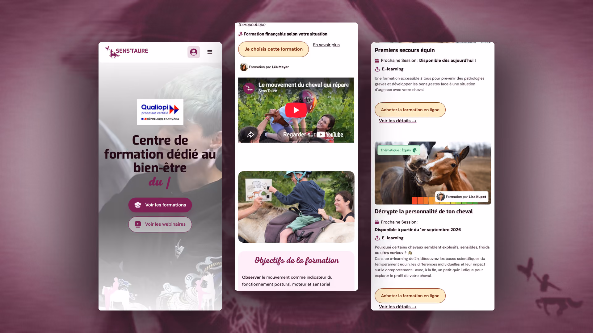 Sens'Taure, pleine 2