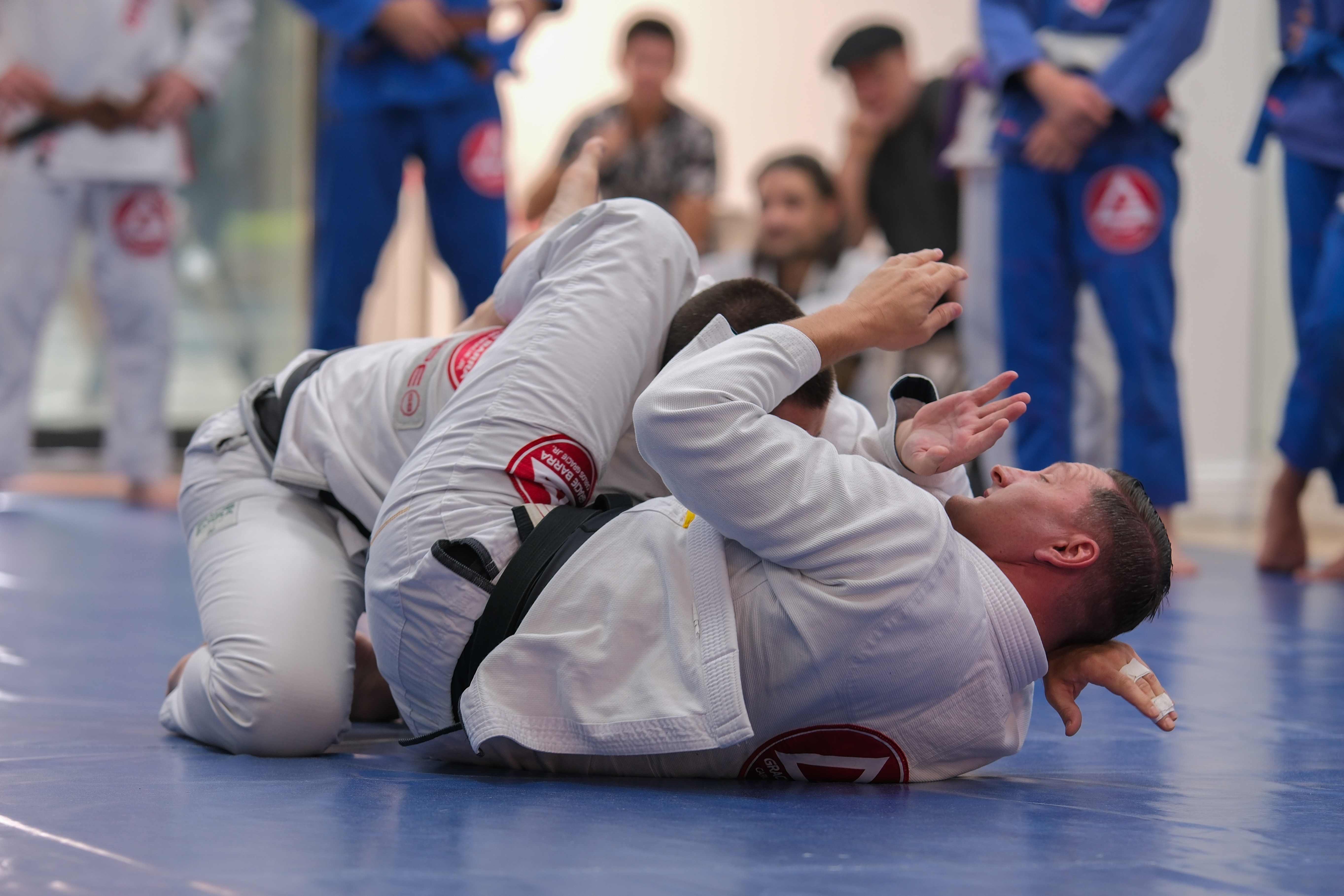 Professor Robert Hill demonstrating a Brazilian Jiu-Jitsu technique to students at Gracie Barra Glendale.