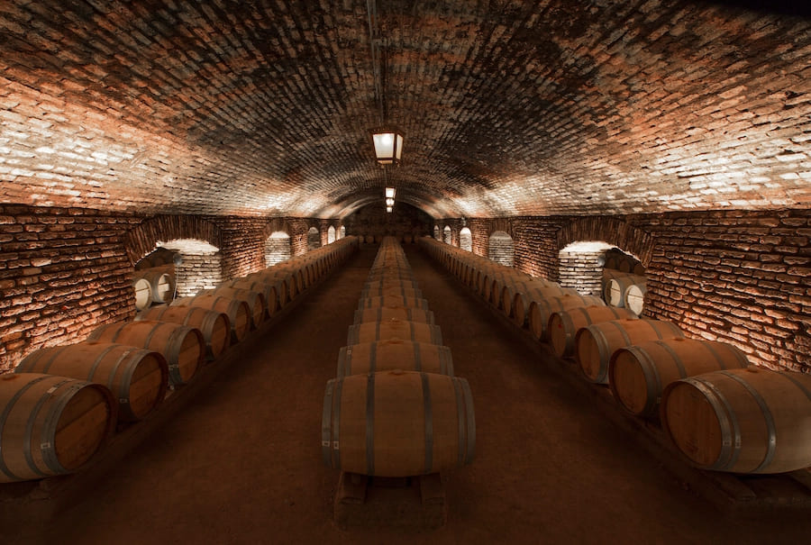 Vinícola Concha y Toro - Tour Centro del Vino (sem museu sensorial).