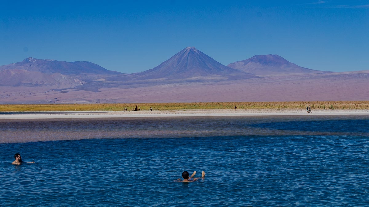 Laguna Cejar, Ojos del Salar y Tebinquiche