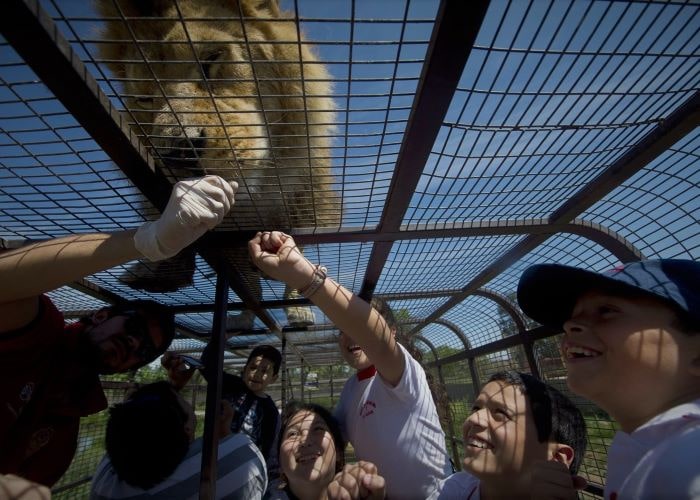 Parque Safari.