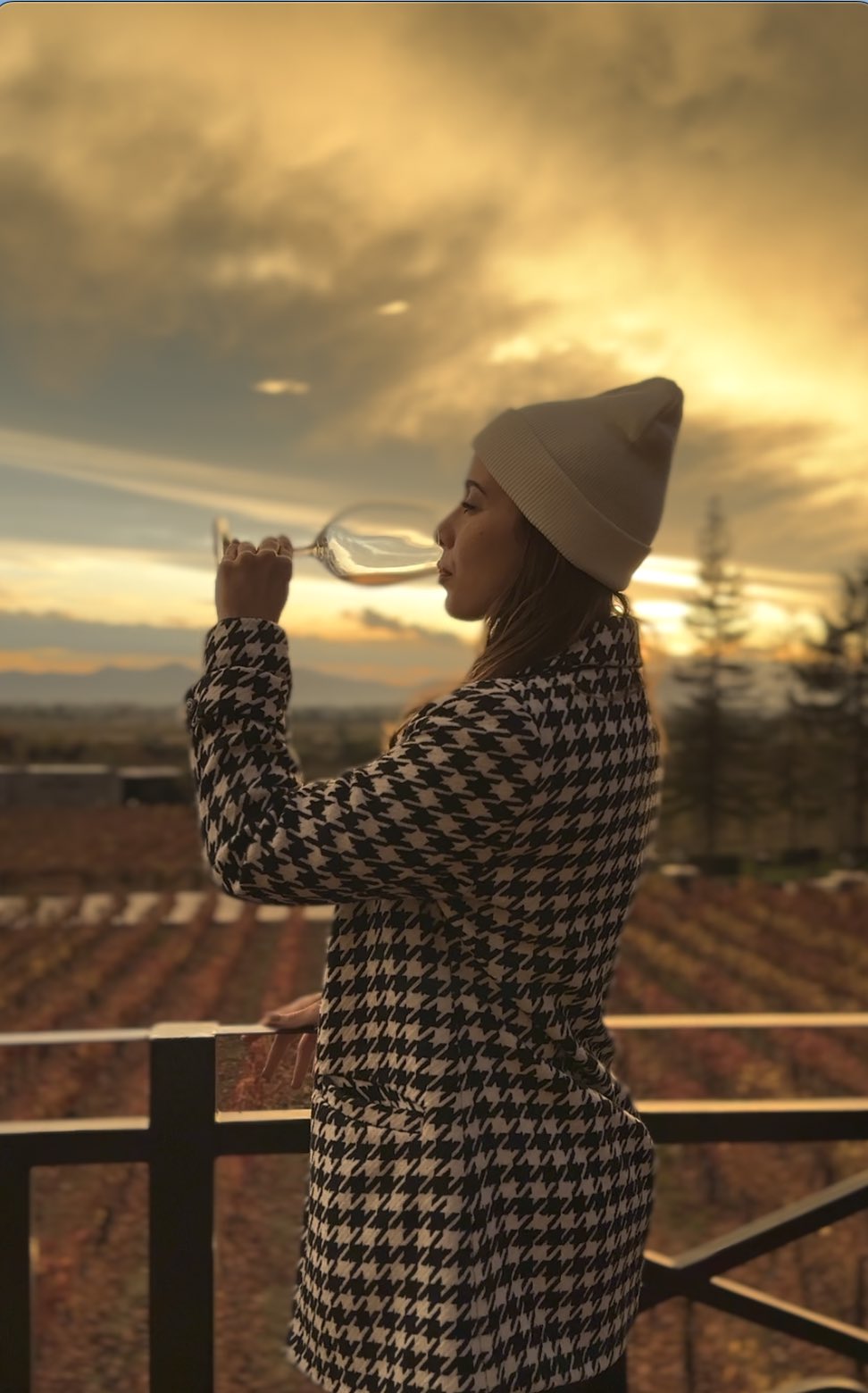 Vinícola Alyan - Tour Sunset com degustação e jantar.