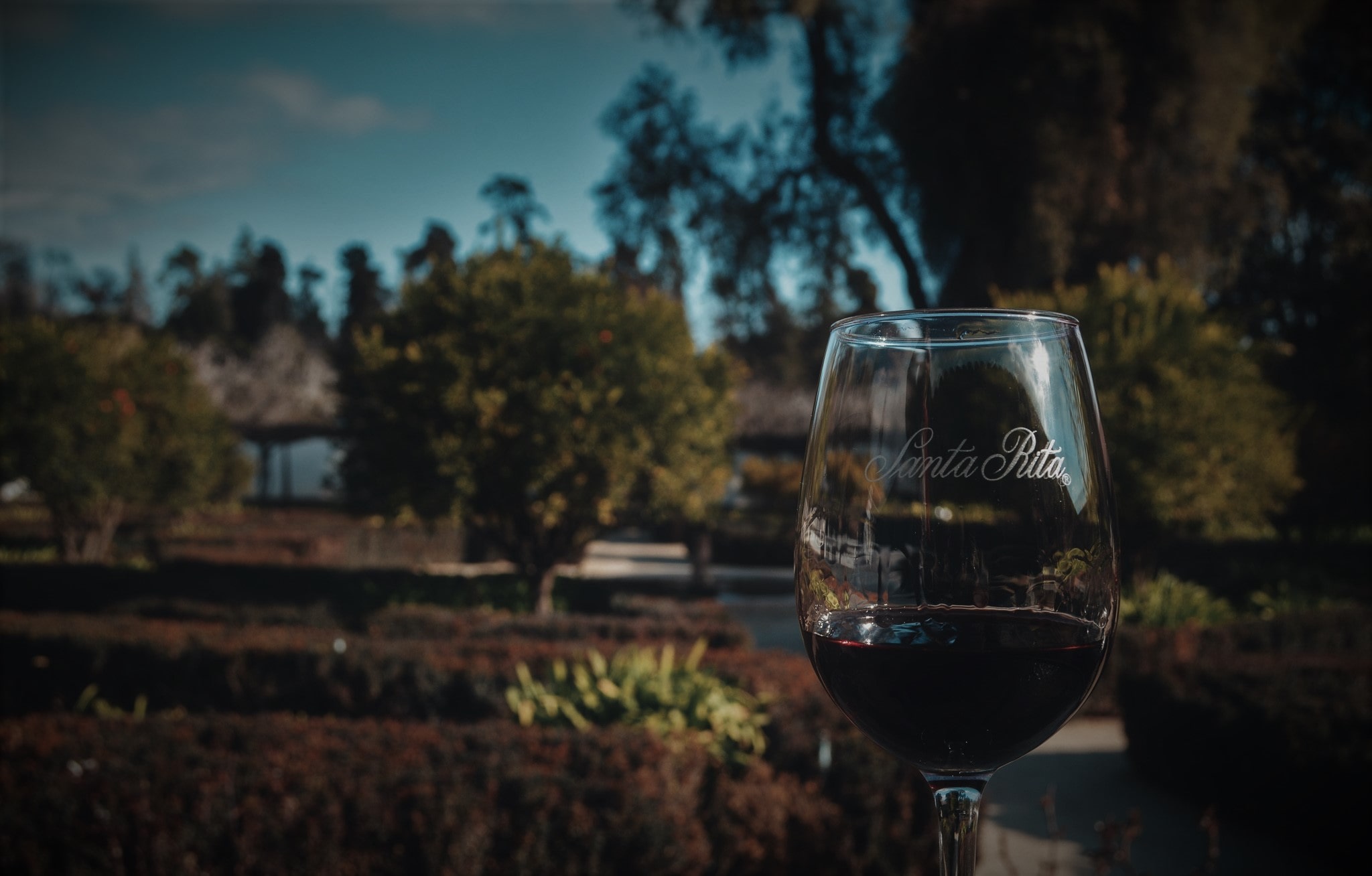 Vinícola Santa Rita - Tour com degustação