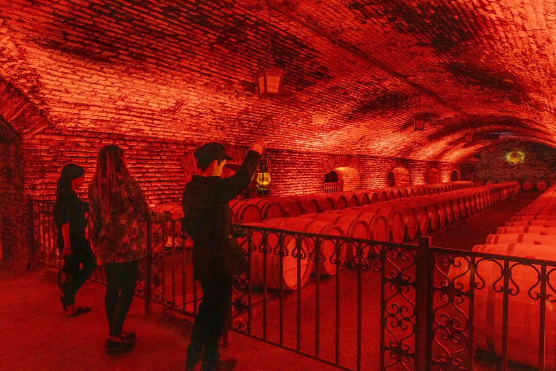 Vinícola Concha y Toro - Tour noturno com degustação e jantar.