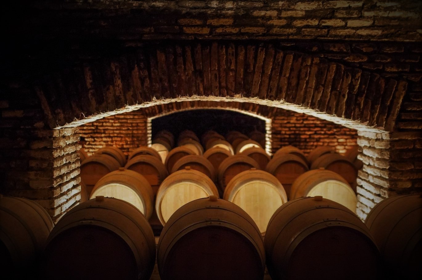 Vinícola Concha y Toro - Tour Marques de Casa Concha.
