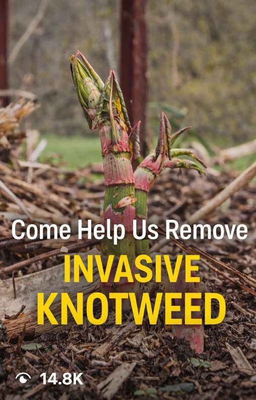 Super Compost Project — 16.1K views