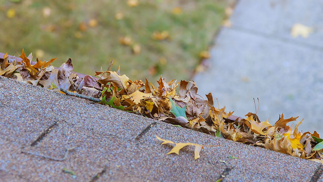 Professional gutter cleaning in Anchorage, Alaska
