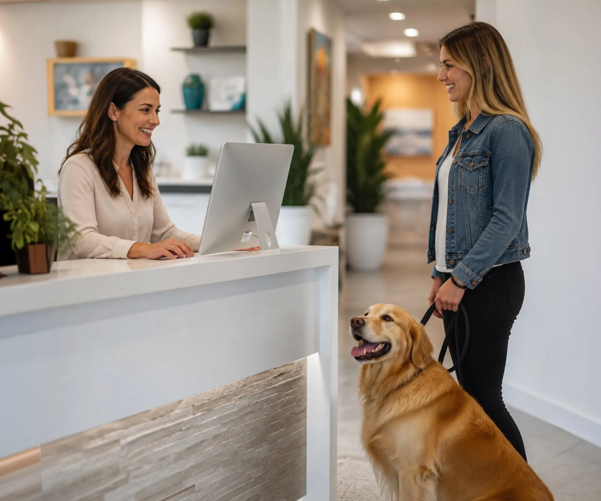IT support for veterinary clinic computers and business systems