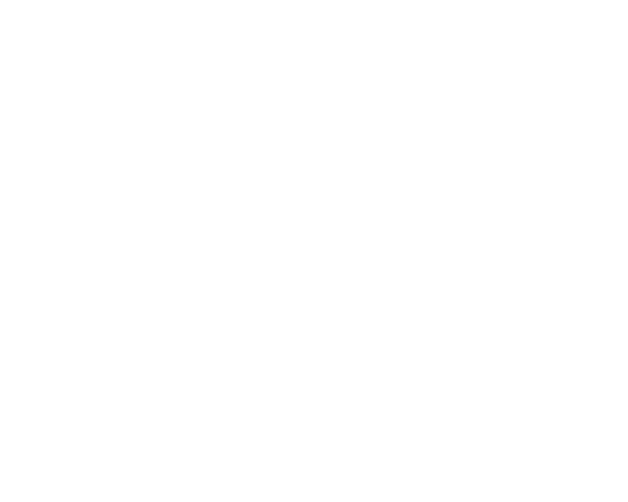 The CIO Group